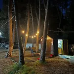 Peja