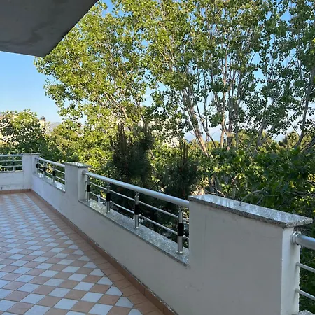Peja Velipoje
