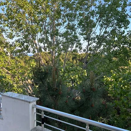 Peja