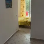 Peja Hotel Velipojë