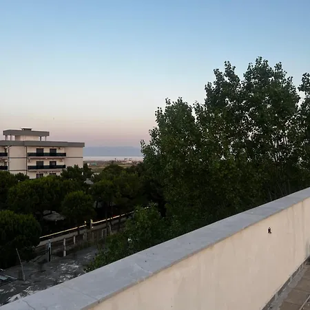 Peja Velipojë