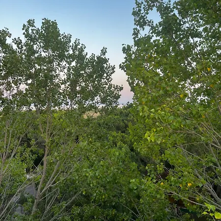 Peja 3* Velipojë