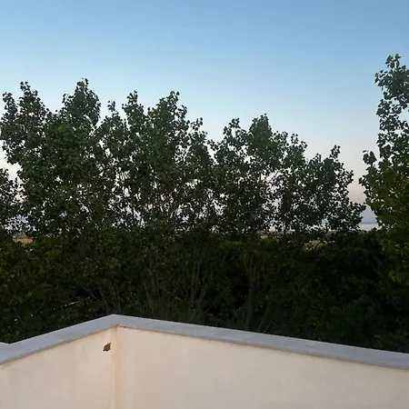 Peja