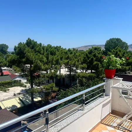 Peja Velipoje