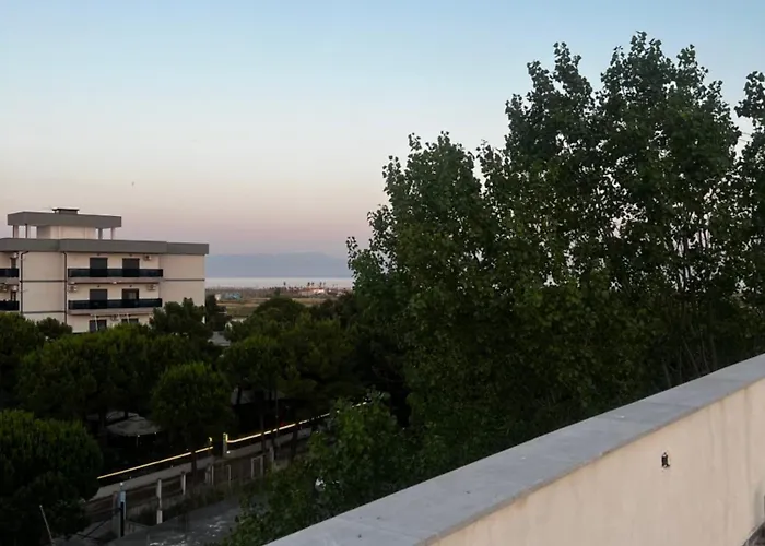 Peja Velipoja